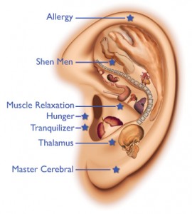 auricularEar-plain